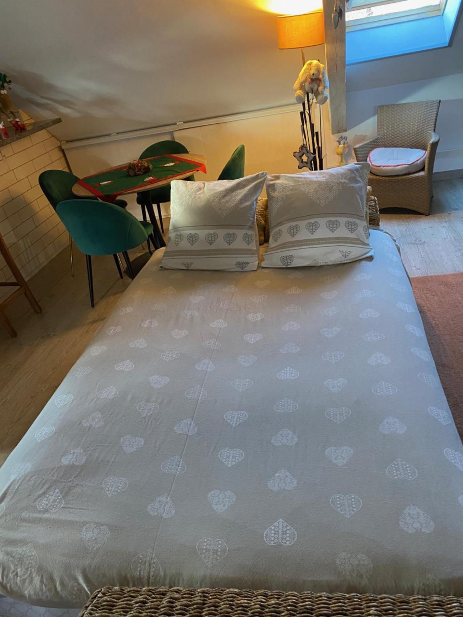 Duplex Spacieux Confort * Mulhouse