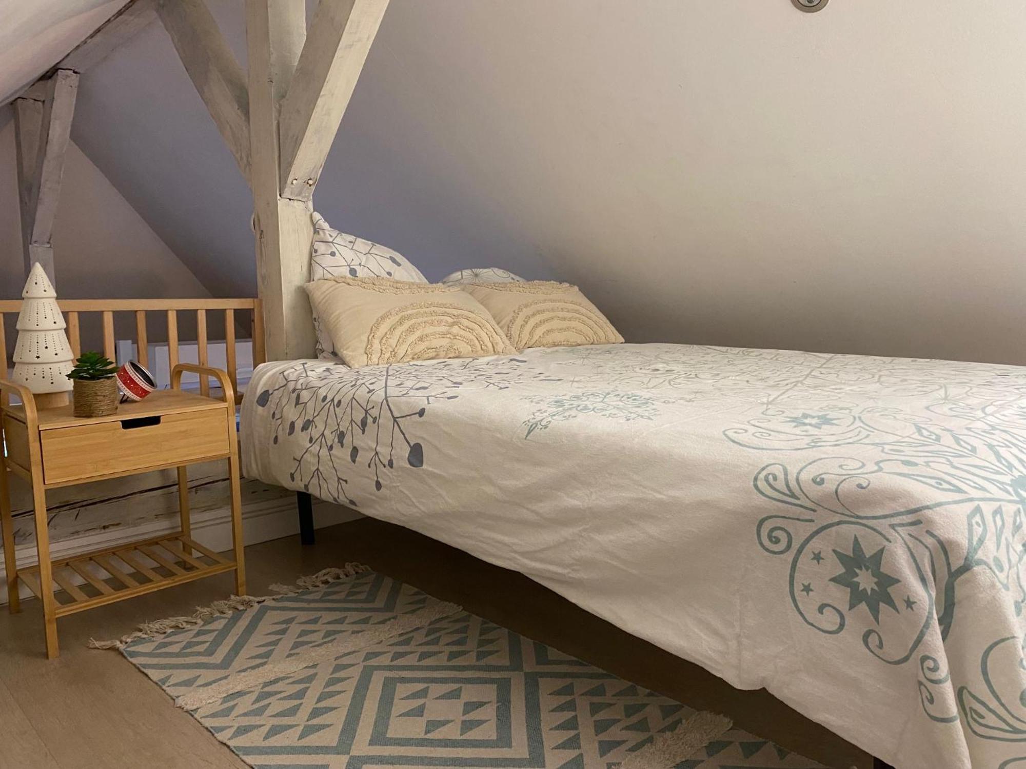 Duplex Spacieux Confort Appartement *